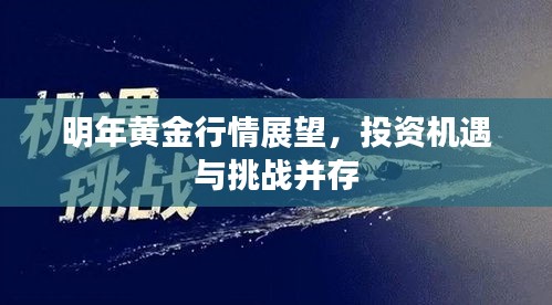 明年黄金行情展望,投资机遇与挑战并存