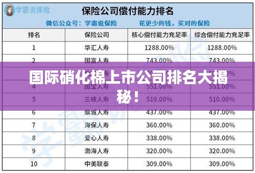国际硝化棉上市公司排名大揭秘!