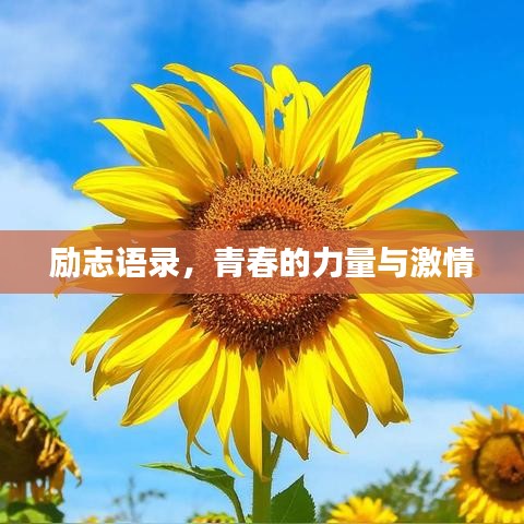 励志语录,青春的力量与激情