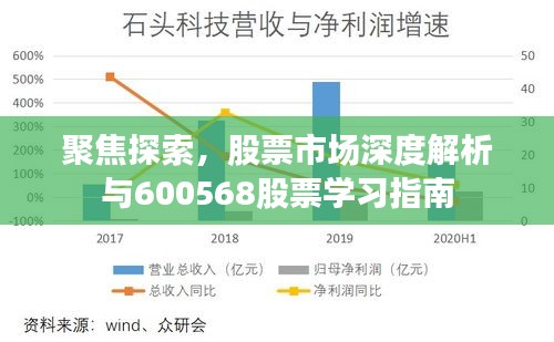 聚焦探索,股票市场深度解析与600568股票学习指南