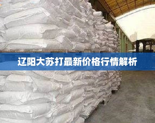 辽阳大苏打最新价格行情解析