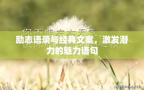 励志语录与经典文案,激发潜力的魅力语句