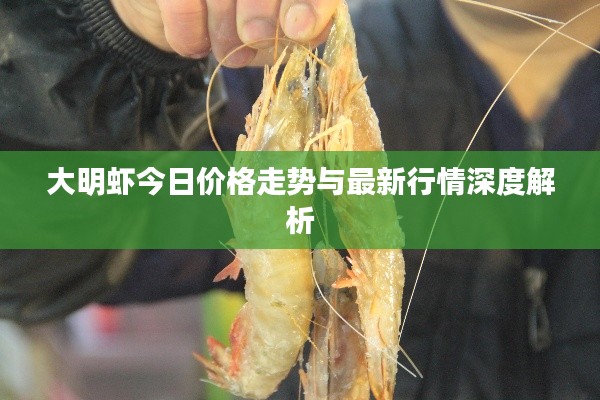 大明虾今日价格走势与最新行情深度解析