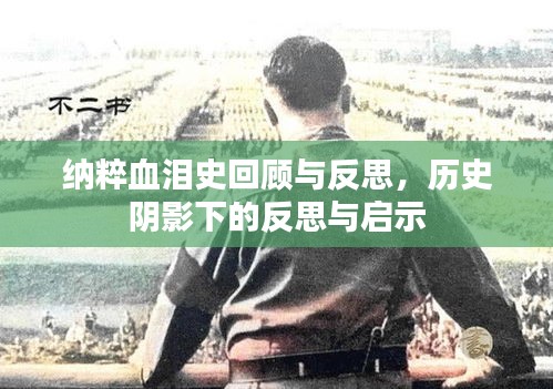 纳粹血泪史回顾与反思,历史阴影下的反思与启示