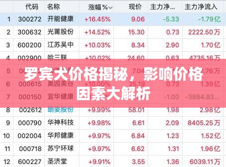 罗宾犬价格揭秘,影响价格因素大解析