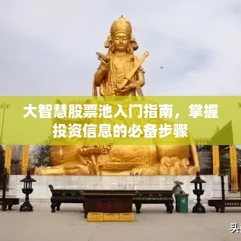 大智慧股票池入门指南,掌握投资信息的必备步骤