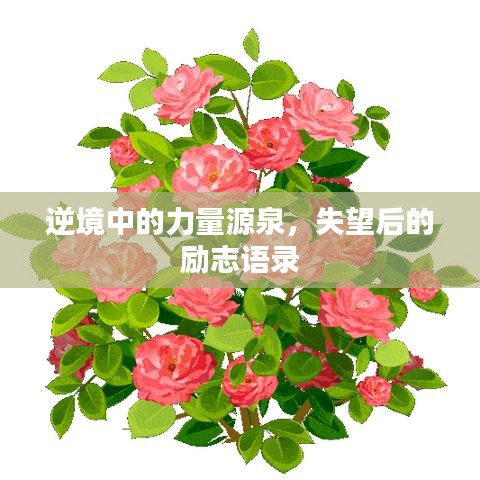 逆境中的力量源泉,失望后的励志语录
