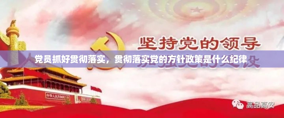 党员抓好贯彻落实,贯彻落实党的方针政策是什么纪律