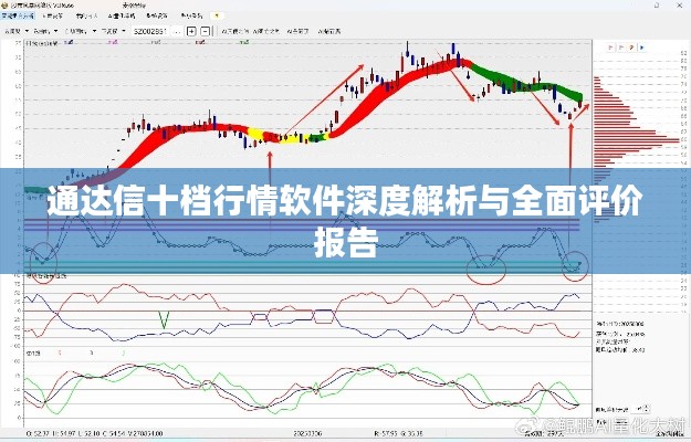 通达信十档行情软件深度解析与全面评价报告