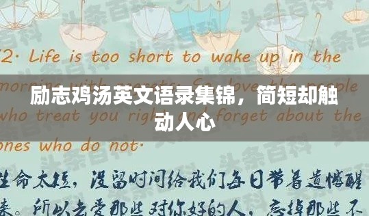 励志鸡汤英文语录集锦,简短却触动人心