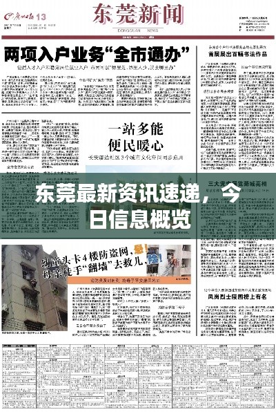 东莞最新资讯速递,今日信息概览