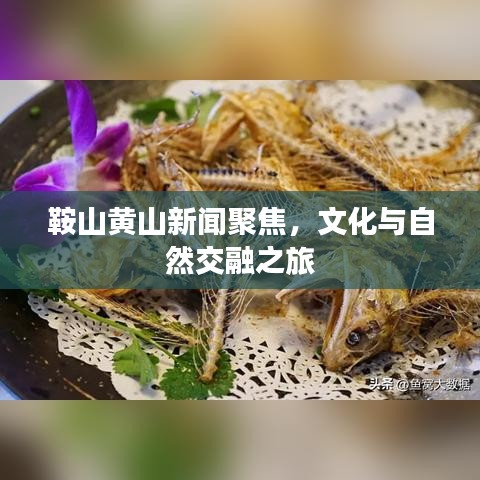 鞍山黄山新闻聚焦,文化与自然交融之旅