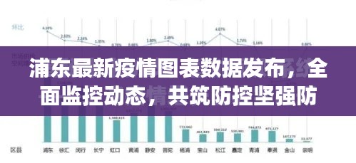 浦东最新疫情图表数据发布,全面监控动态,共筑防控坚强防线