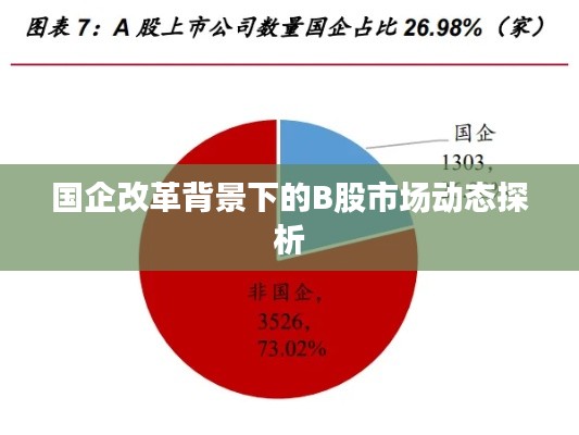 国企改革背景下的B股市场动态探析