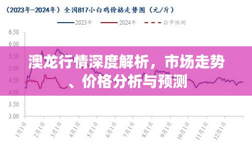 澳龙行情深度解析,市场走势、价格分析与预测