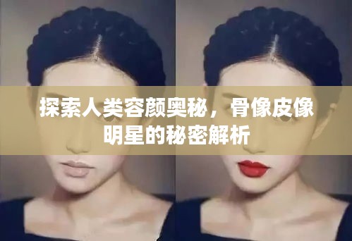 探索人类容颜奥秘，骨像皮像明星的秘密解析